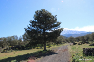 nte Egitto-29-04-2023 08-41-44